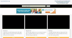 Desktop Screenshot of insectidentification.org